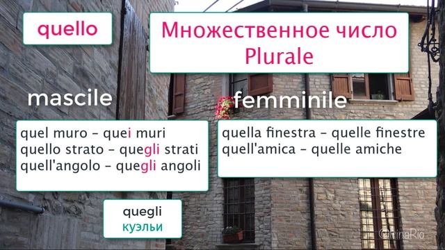 Указательные прилагательные в итальянском языке – Элизия и усечение – Stesso с местоимением – 19