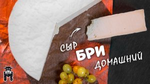 РЕЦЕПТ сыра Бри - готовим в сыроварне Maggio | Рецепт сыра бри - своими руками в домашних условиях