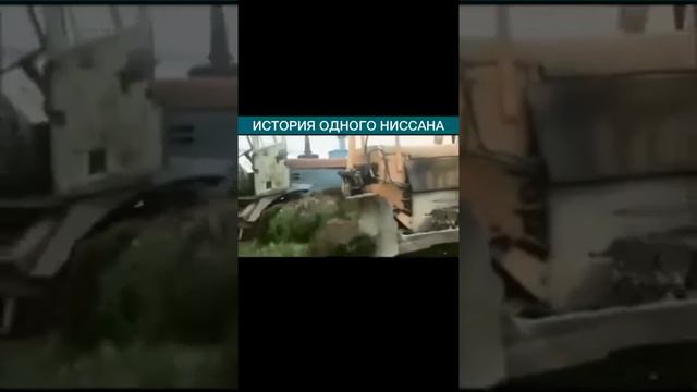 как в нашем болоте🙃 кто автор не знаю смотреть онлайн