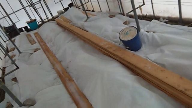 Укрытие винограда в теплице "одеялами"