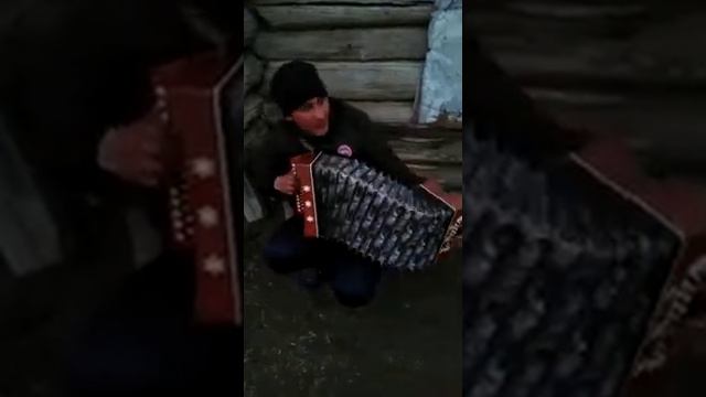 Гармонист смотреть онлайн