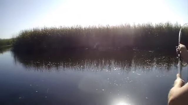 160 Осенние приманки работают/ Ловим хищника на воблеры и блесны /Fishing bass/Volga смотреть онлайн