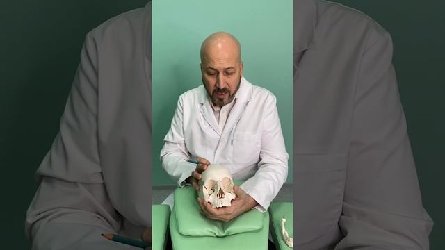 Какими методами остеопатия корректирует СДВГ у детей