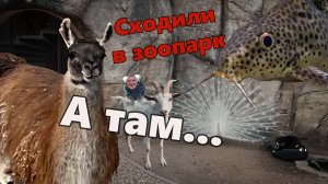 Чудеса Минского зоопарка