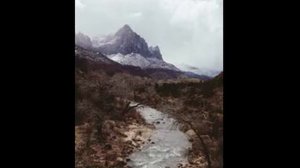 +чем полезны листья грецкого ореха