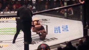 Бой ПЕЙДЖ ВАНЗАНТ vs РЭЙЧЕЛ ОСТОВИЧ