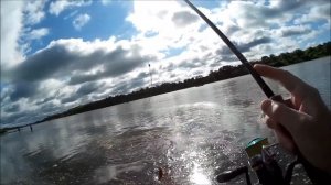 ЛОВЛЯ СПИННИНГОМ НА СЛАГИ- 2.