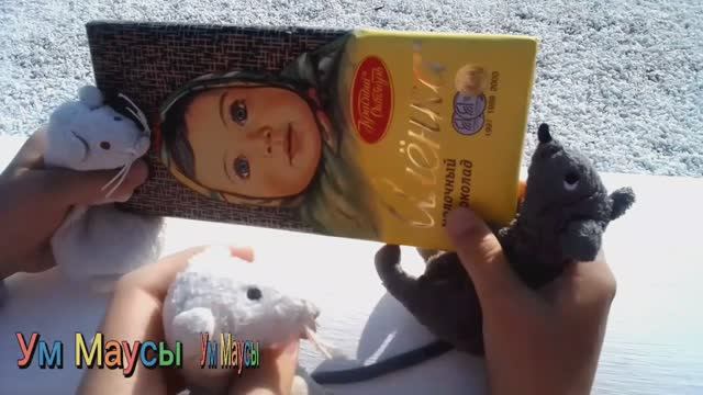 Распаковка маленькими мышунями БОЛЬШОЙ шоколадки Алёнка