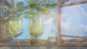 СЕРЕБРЯНАЯ СВАДЬБА