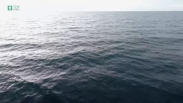 Зеленоградск с высоты птичьего полета