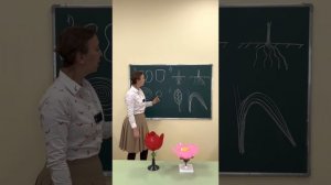 «ДНК Гимназии». Биология: сравнительная характеристика классов цветковых растений