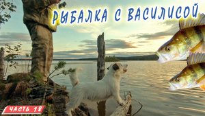 #18 Днёвка на  Соколозере | Рыбалка с Василисой | Княжегубско - Иовско - Кумское кольцо на байдарке