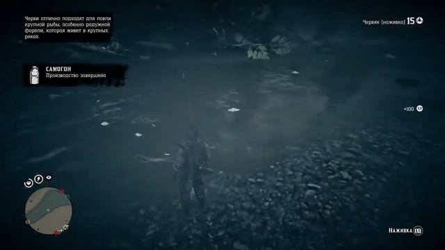 Лососей поймано:0/3🎣🐟 смотреть онлайн