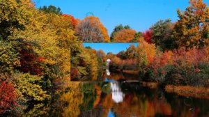 "Осень золотая" слайд-шоу