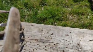 Тяпки, которые не нуждаются в силе во время работы на огороде