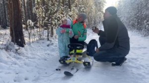 Прогулка по лесу. Сорум. 29.10.2022.