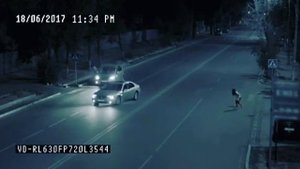 чудеса Аллаха