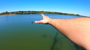 ШОК! ВЯЗКА СОБАК / Щенок против Папы Маламута