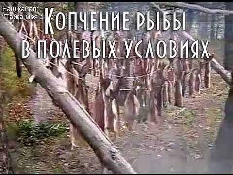 ХОЛОДНОЕ КОПЧЕНИЕ РЫБЫ В ПОЛЕВЫХ УСЛОВИЯХ, ЛЕНОК И ХАРИУС, старинный способ
