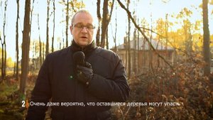 Стоит ли покупать участок в лесу? | База знаний