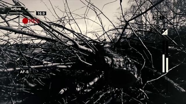 КОМУ ПРИНАДЛЕЖИТ ЛЕС ОКТЯБРЬСКОГО РАЙОНА КРАСНОЯРСКА? смотреть онлайн