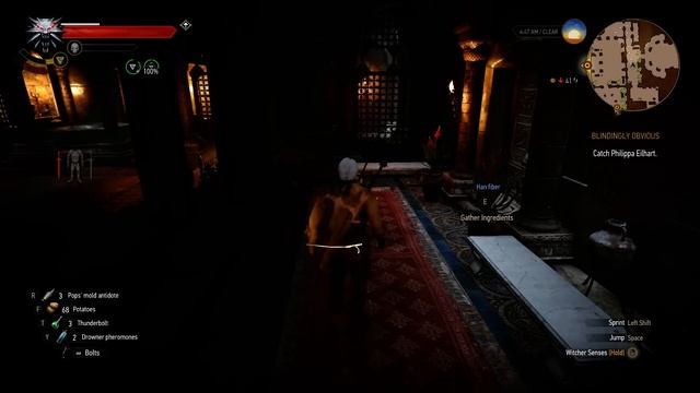 Blindingly Obvious | Choosing Triss ? | Witcher 3