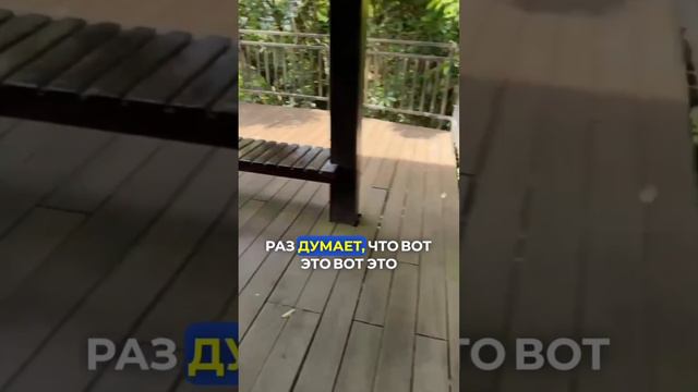 Как тушат пожары в Китае? #Китай #Пожар #Путешествия #Колесов
