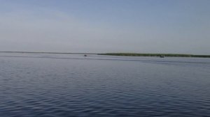 Лиман Рясной 01.06.2013 г.
