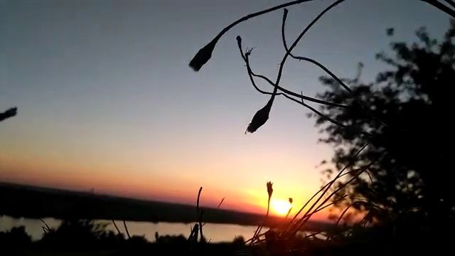 Кода души поют в унисон смотреть онлайн