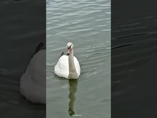 20 июля 2023 г. смотреть онлайн