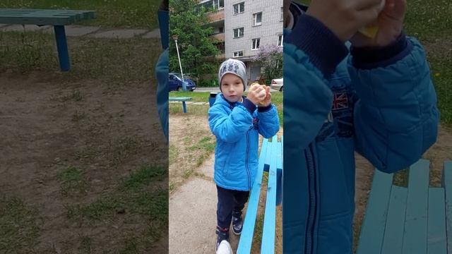 Панини морские хищники рыба фугу смотреть онлайн