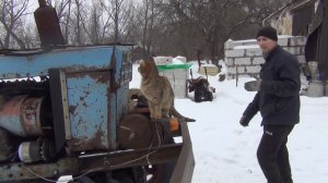 Т-40ам первые вложения и ремонты, устранение люфта кпп ч 1