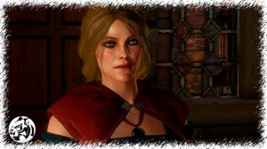 Ведьмак 3: Дикая Охота. Несвободный Новиград