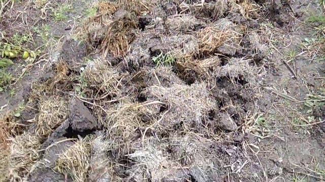 Подготовка грядки осенью. смотреть онлайн