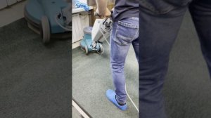Химчистка ковров с применением роторной машины и экстрактором от компании Проф Клин