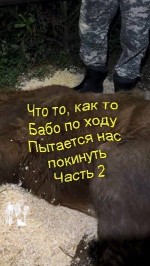 Что-то, как-то Бабо по ходу. Пытается нас покинуть. Часть 2