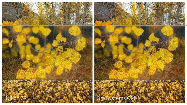 OM System OM-1 VS Nikon Z9 | Camera Test & Comparison Full Review смотреть онлайн