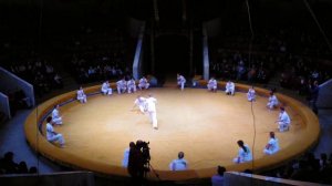 Выступление ABADA Capoeira Voronezh на Фестивале Боевых Искусств