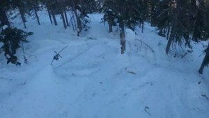 Шерегеш. Фрирайд. Полный спуск с горы Асыр через лес. Head Kore 105, Fischer Ranger 102 Fr.