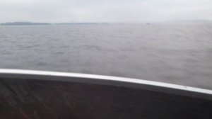 Лодка афалина и мотор suzuki df20 и 200 кг