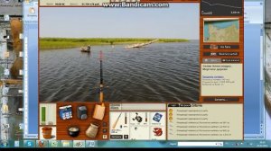 РР Полосатая камбала