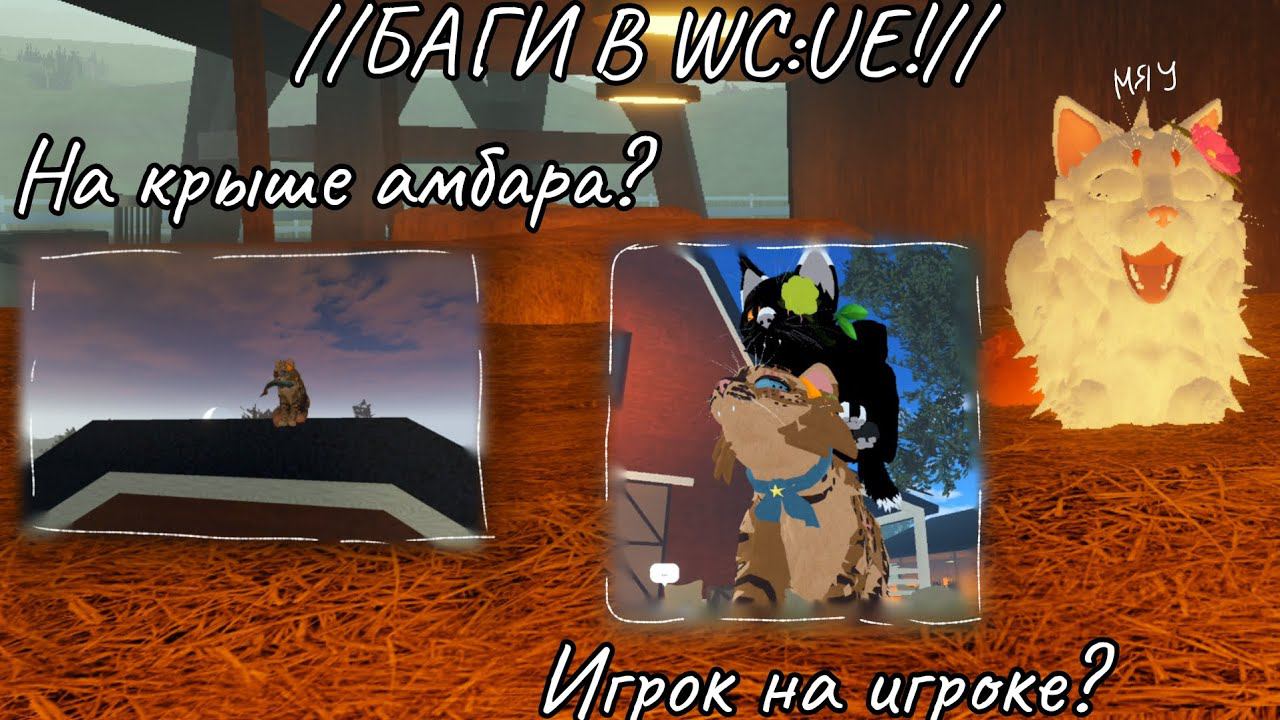 //Баги в игре WC:UE на территории бродяг!///Коты-Воители в Роблоксе// #врекпж #активвернись #wcue