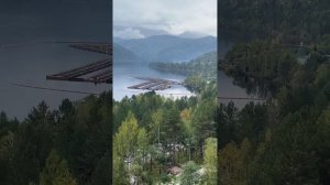 ВГЛЯДИСЬ В ДЕТАЛИ. ТАТУИРОВКА КАК ИСКУССТВО