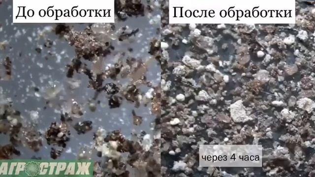Пестицид АгроСтраж, П для хранящегося зерна/семечки
