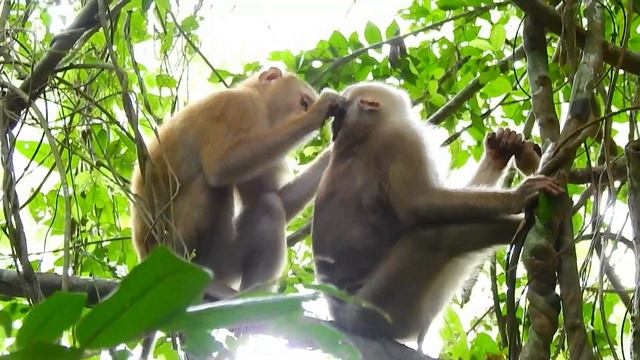 This Is Very Broken Heart Video Rainbow || Baby Rainbow got very Hard lesson from mummy. смотреть онлайн