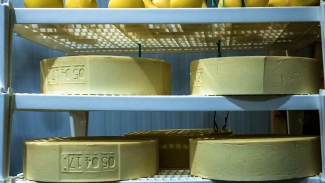 Сыроварня 4 сыра. Работа сырного цеха.