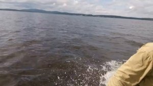 Лиман 310 и Меркури 5 лошадиных сил