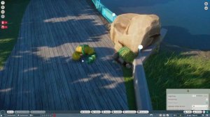 Commerson's Dolphin and Green Sea Turtle │Dolphin Reef Institute│ Planet Zoo Modded Build│Pt.1