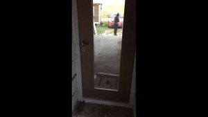 Входная дверь со стеклом в частный дом, купить у производителя без посредников
