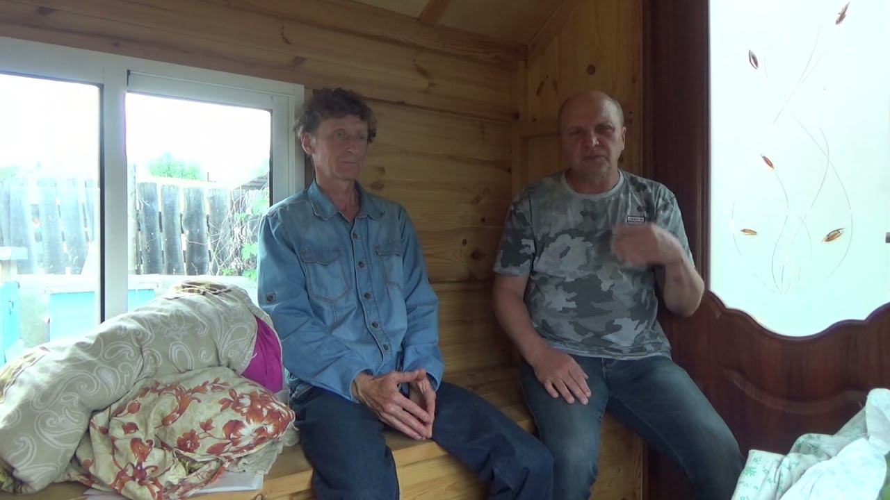 В поисках гармонии. В гостях у Володи Богданова. О чём жужжат пчёлы.